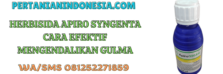 herbisida,apiro,syngenta,apiro 550.8 sc,pertanian indonesia